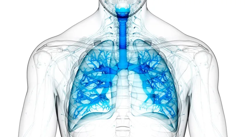 Pulmonary Disease