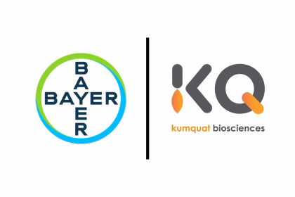 Bayer