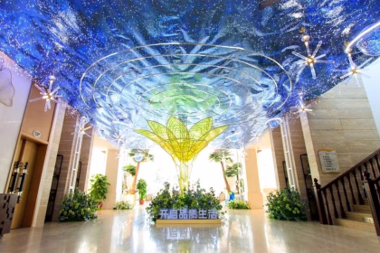 Mayo Clinic
