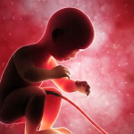 cord blood banking