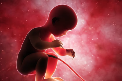 cord blood banking