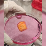 Abu Dhabi Stem Cells Center