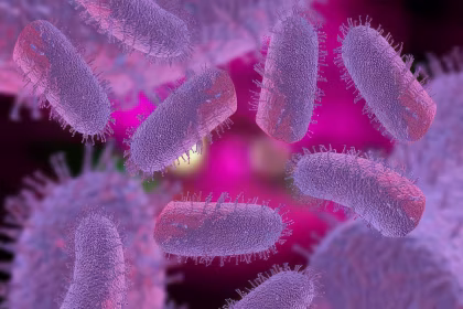 One bite one virus a threat that hasnt gone away 2